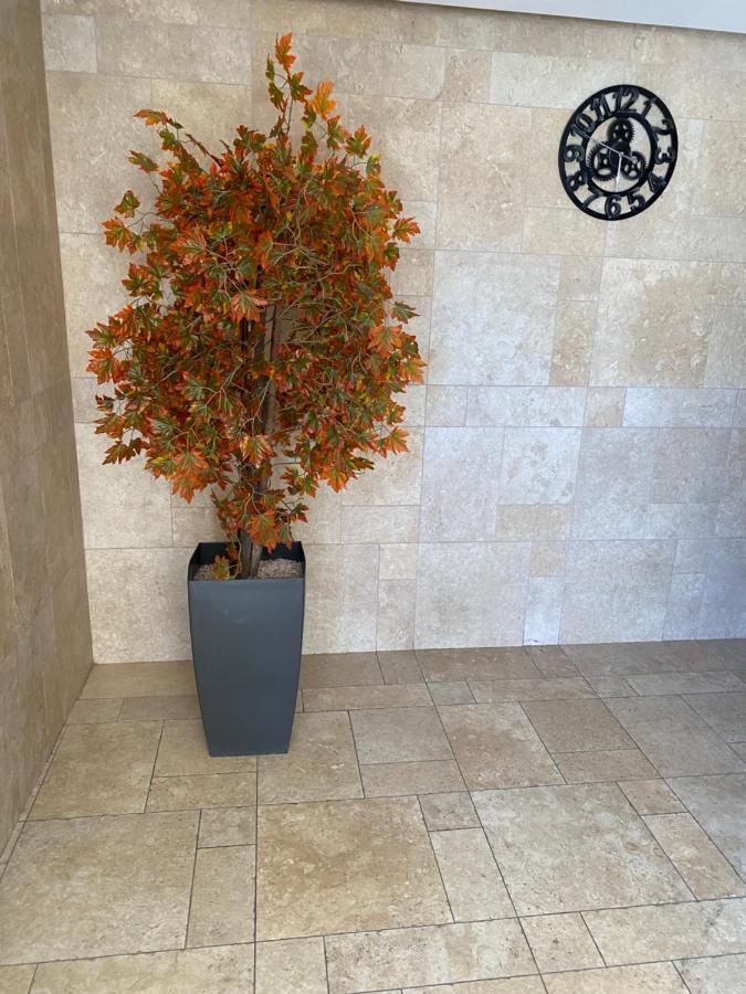 Mobersham'S House In Acre Apartment Exterior photo